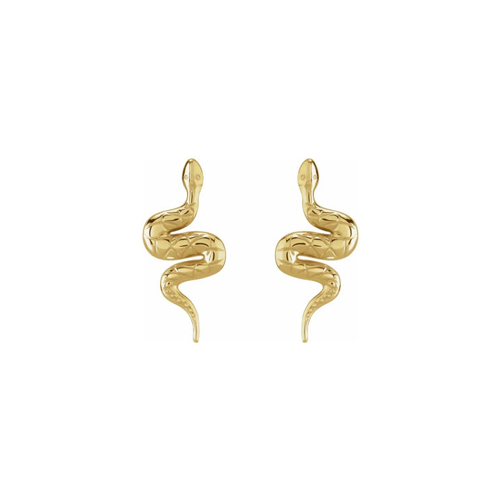 Snake Stud Earrings